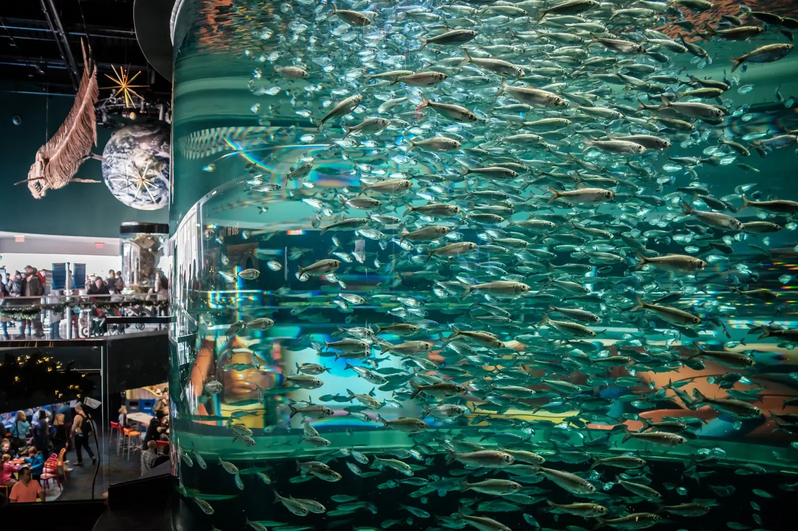 Toronto Aquarium