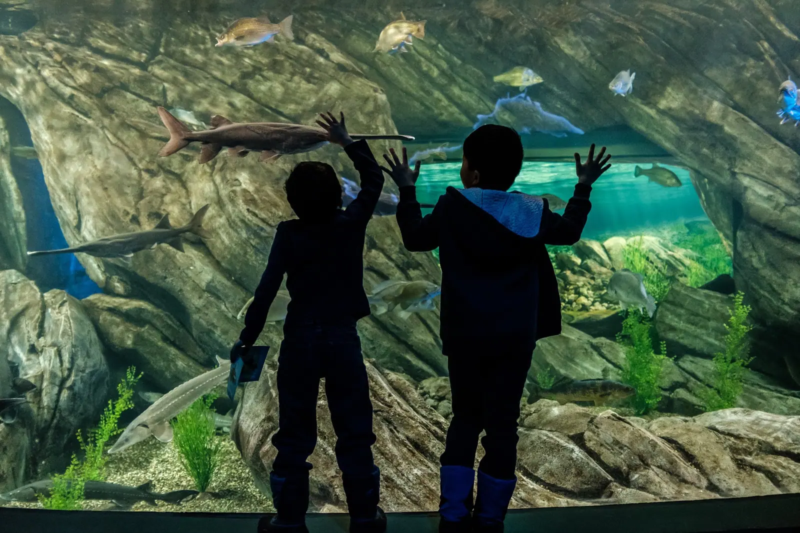 Toronto Aquarium