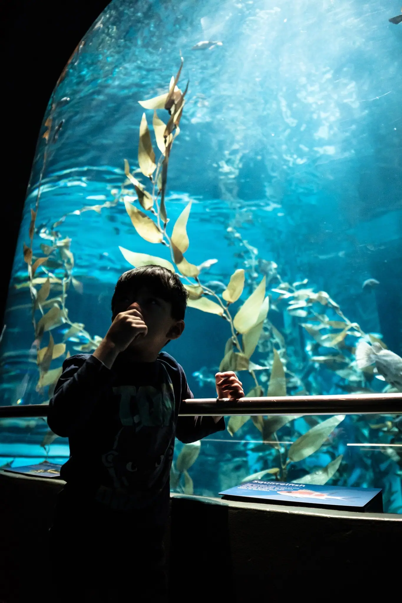 Toronto Aquarium