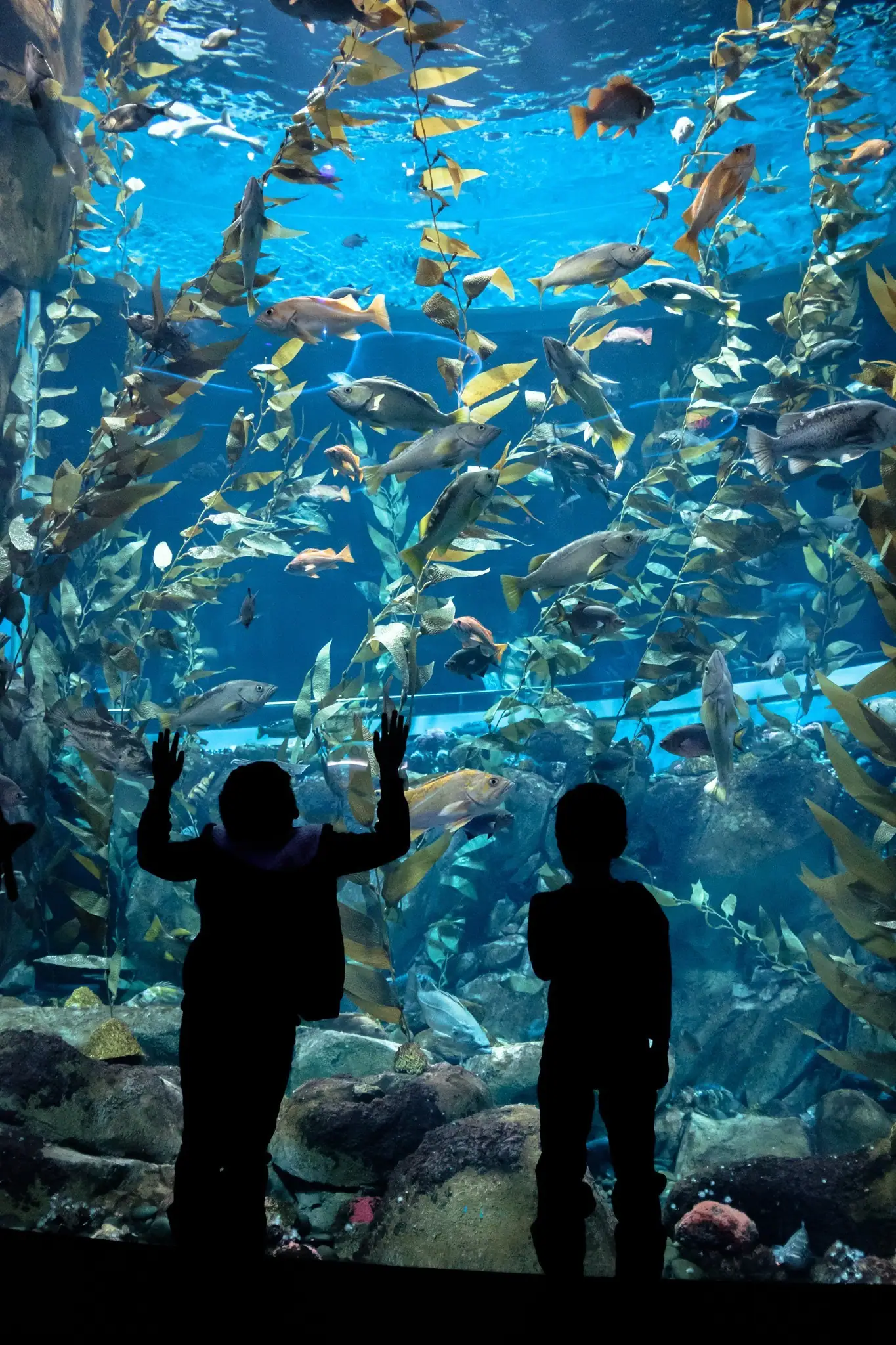 Toronto Aquarium