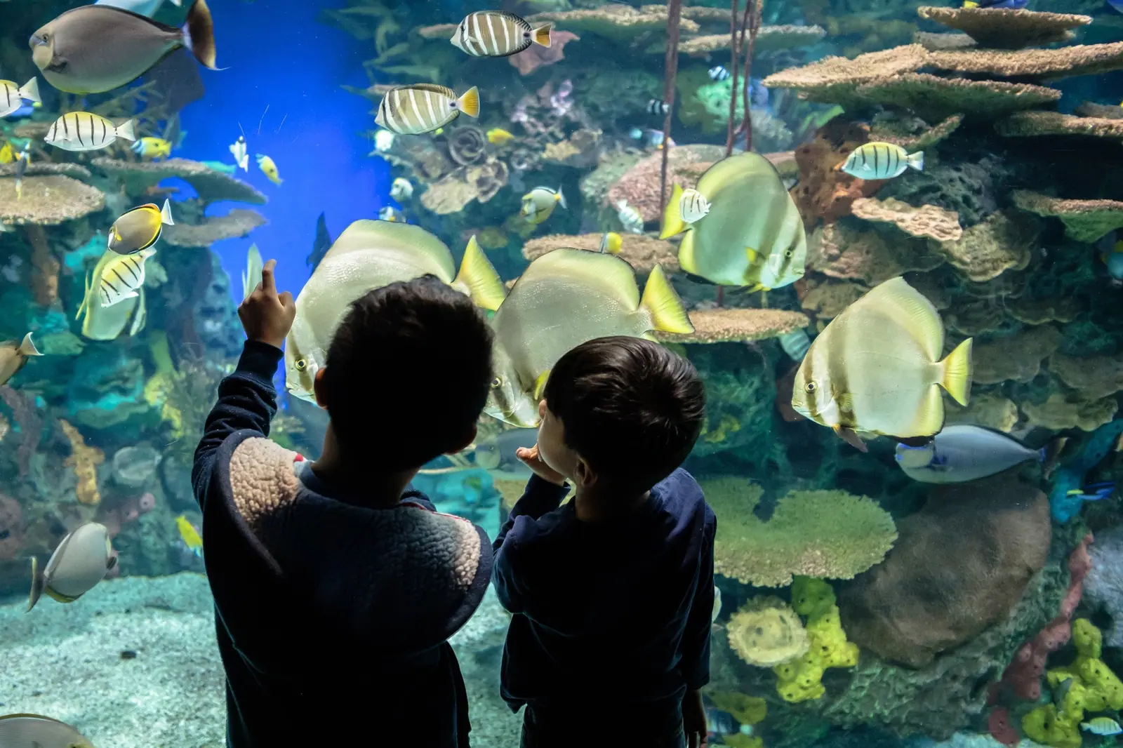 Toronto Aquarium