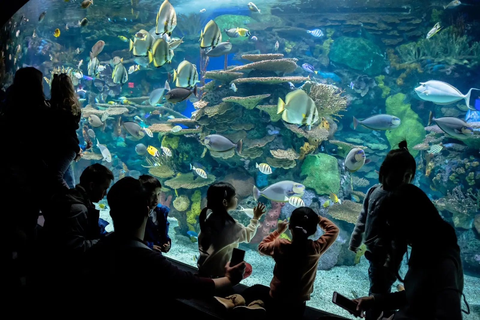 Toronto Aquarium
