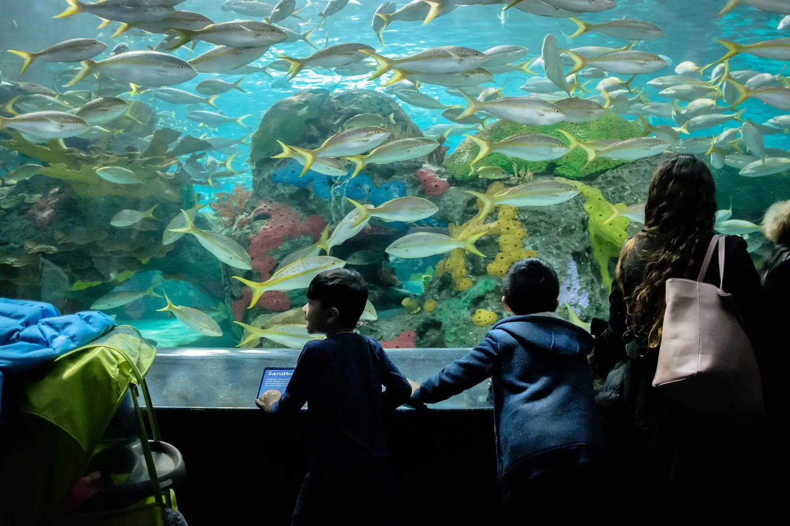 Toronto Aquarium
