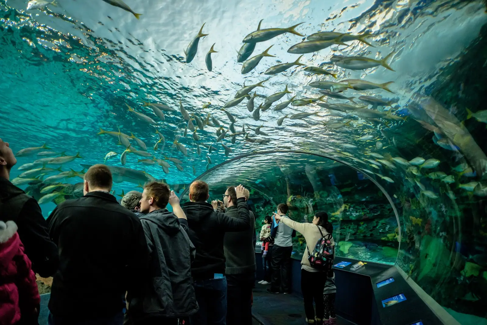 Toronto Aquarium