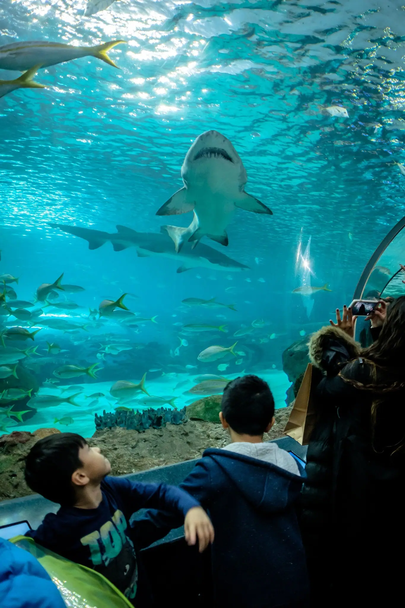 Toronto Aquarium