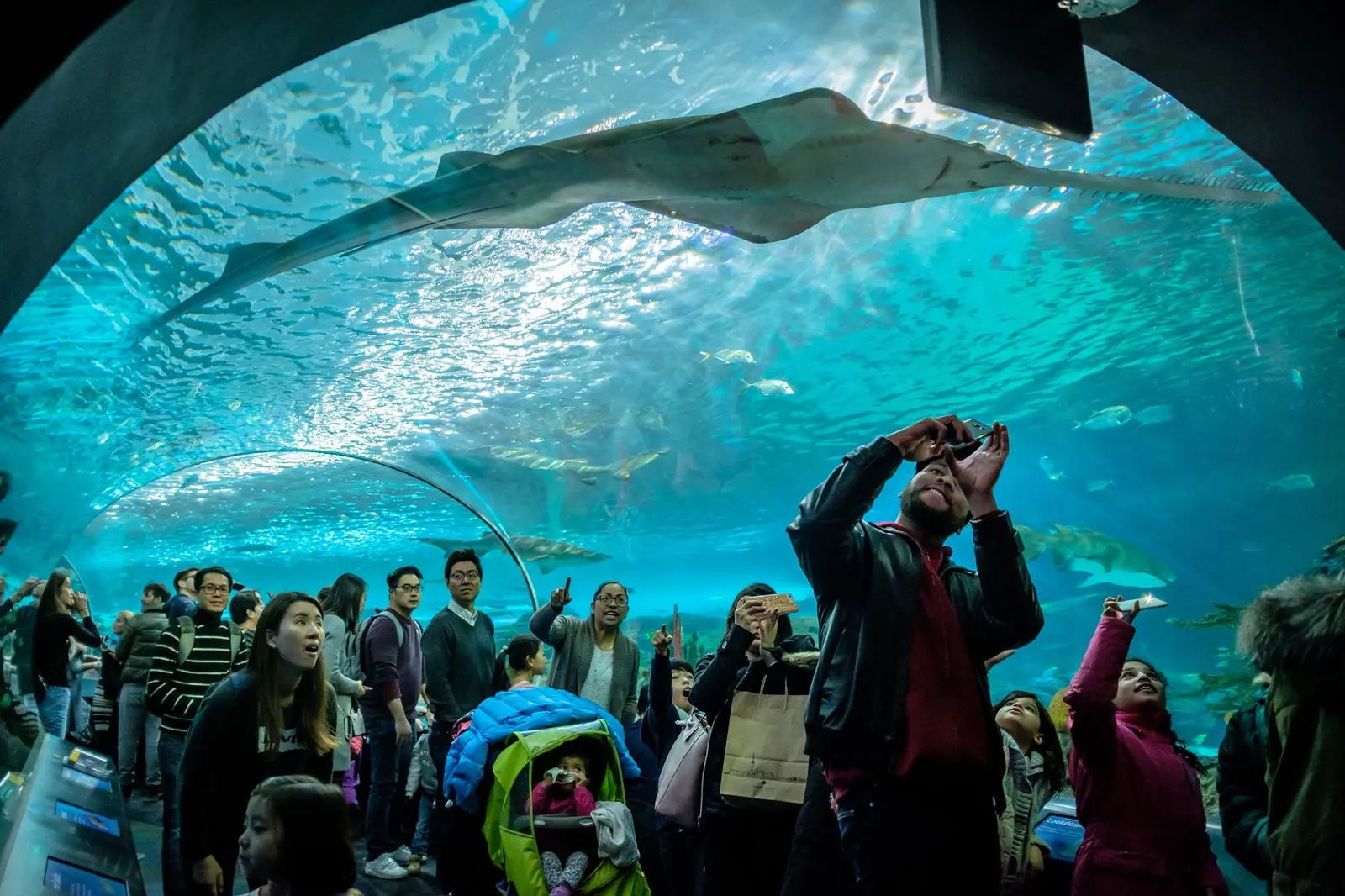 Toronto Aquarium