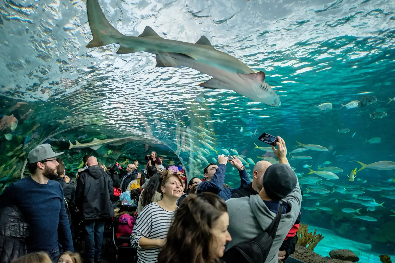 Toronto Aquarium