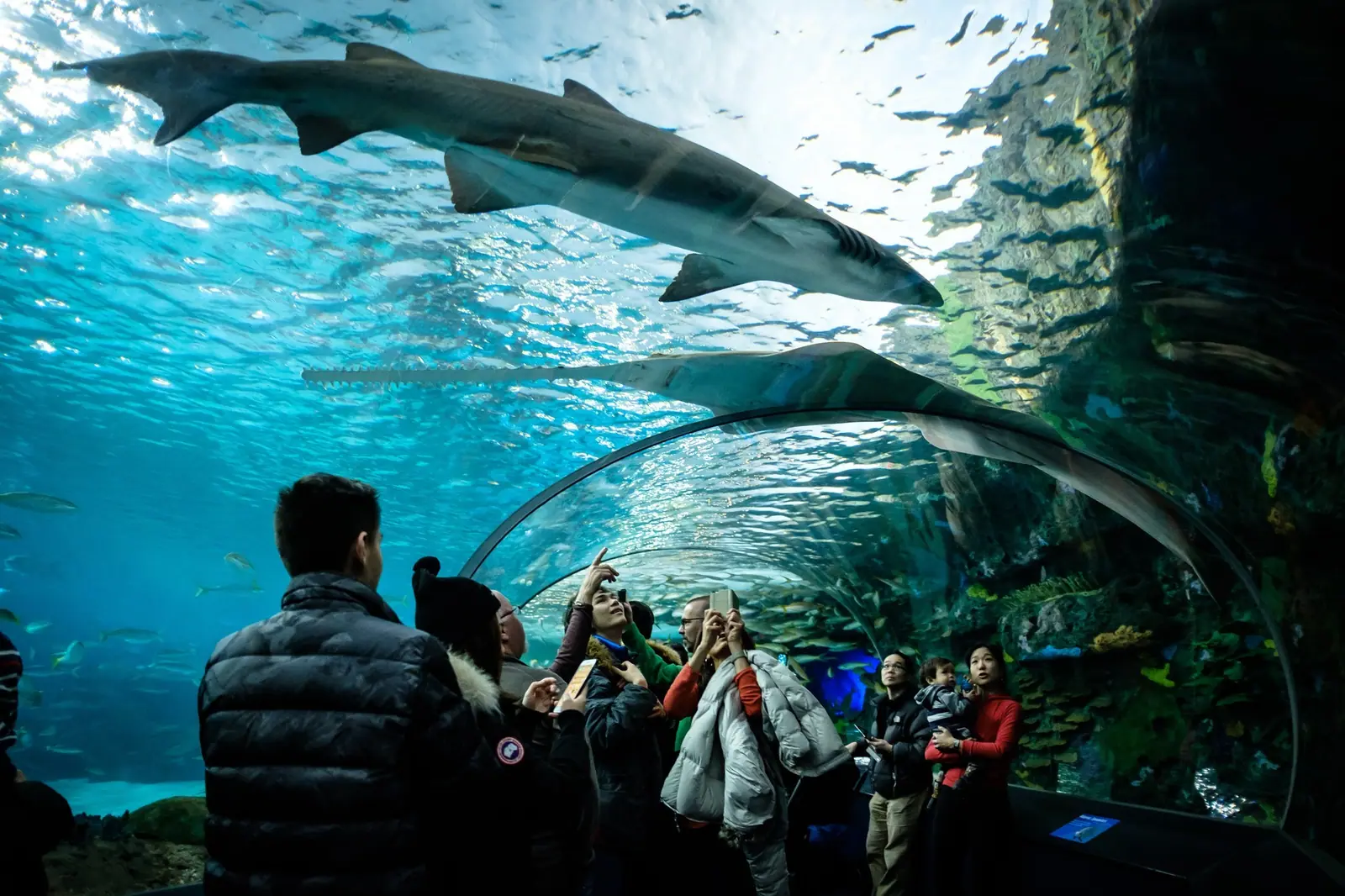 Toronto Aquarium