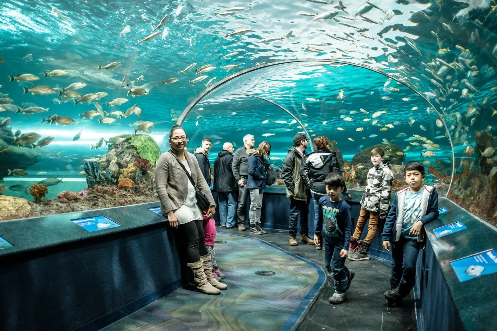 Toronto Aquarium