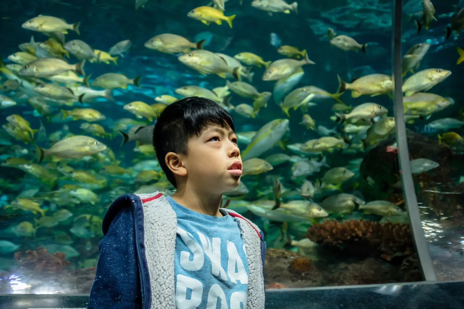 Toronto Aquarium