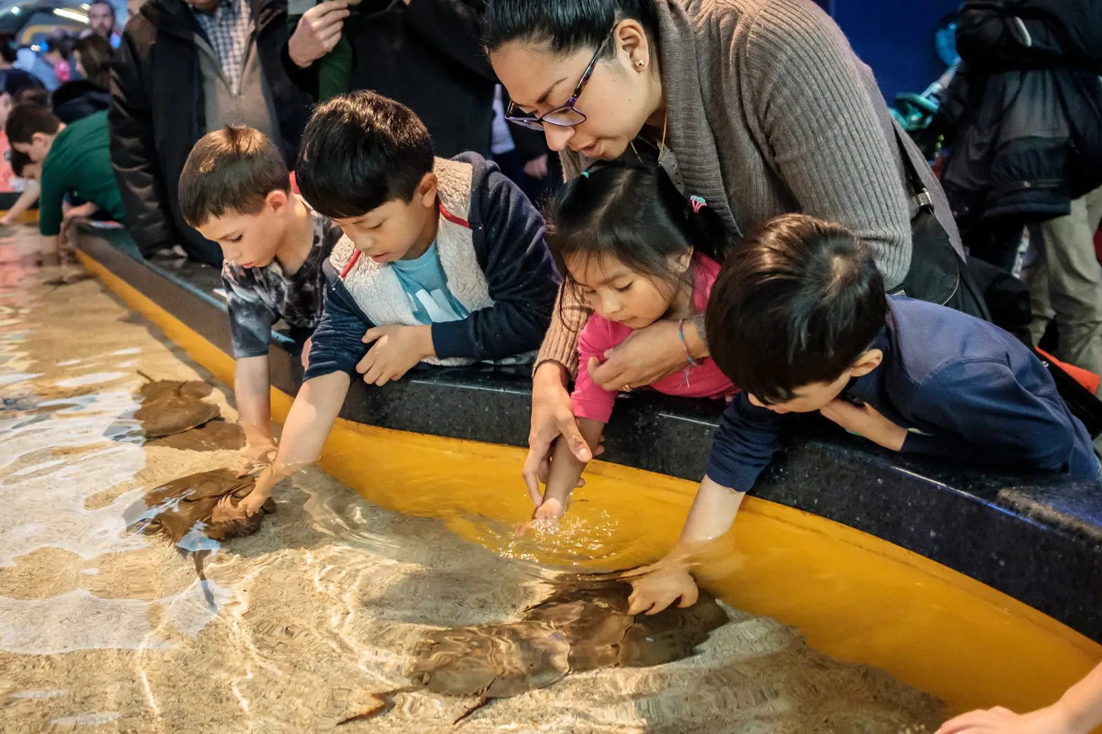 Toronto Aquarium