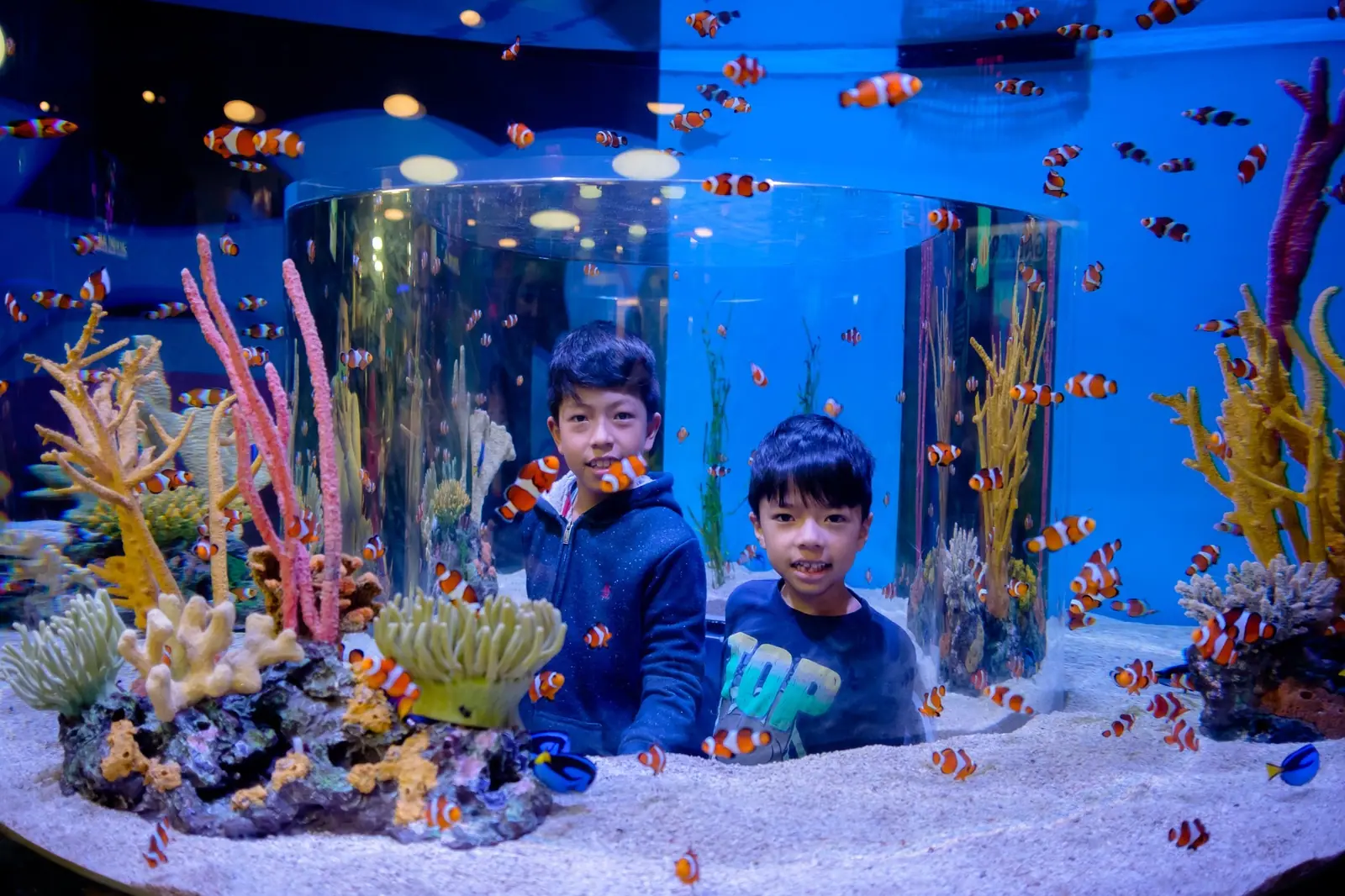 Toronto Aquarium