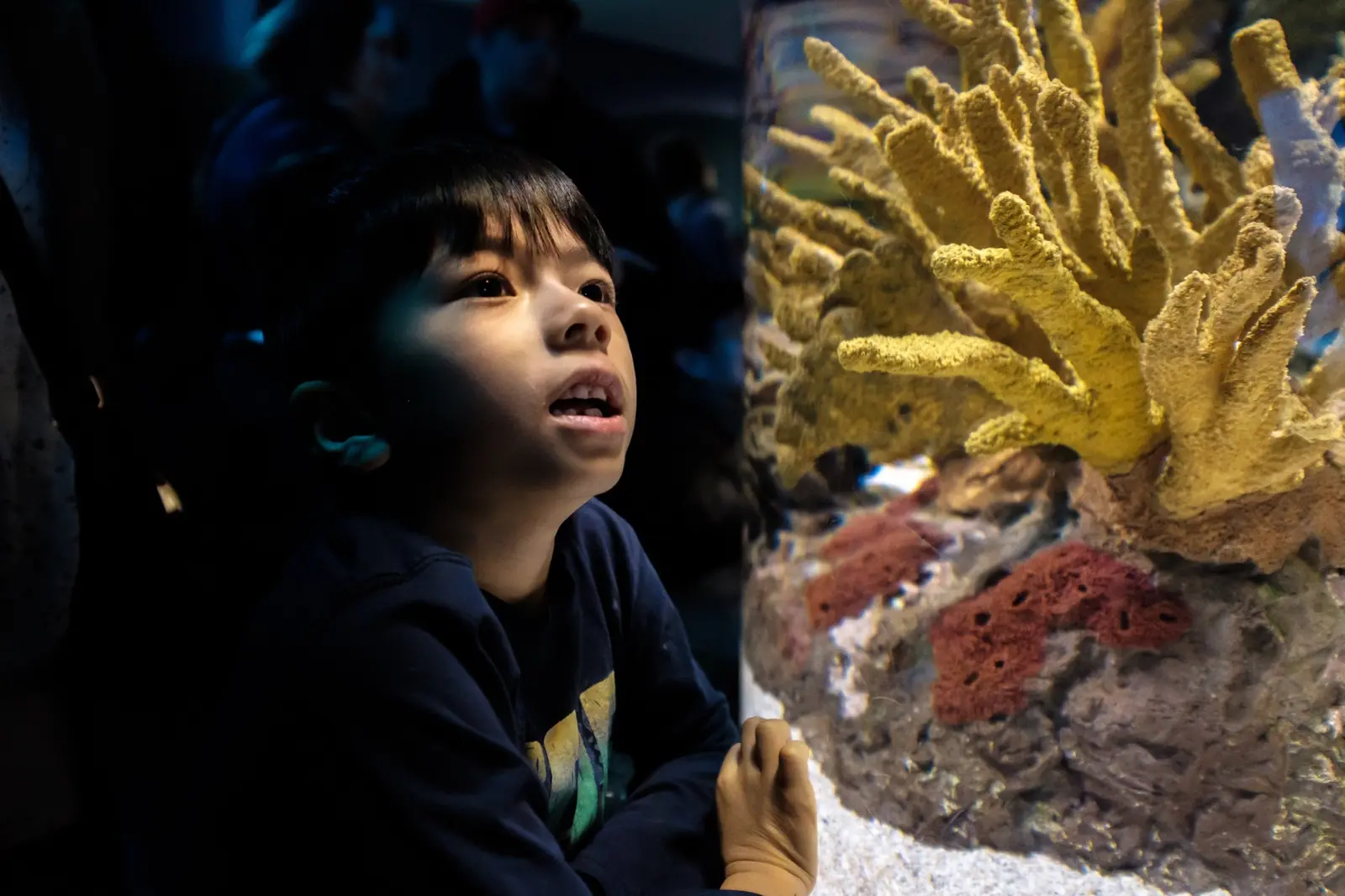Toronto Aquarium