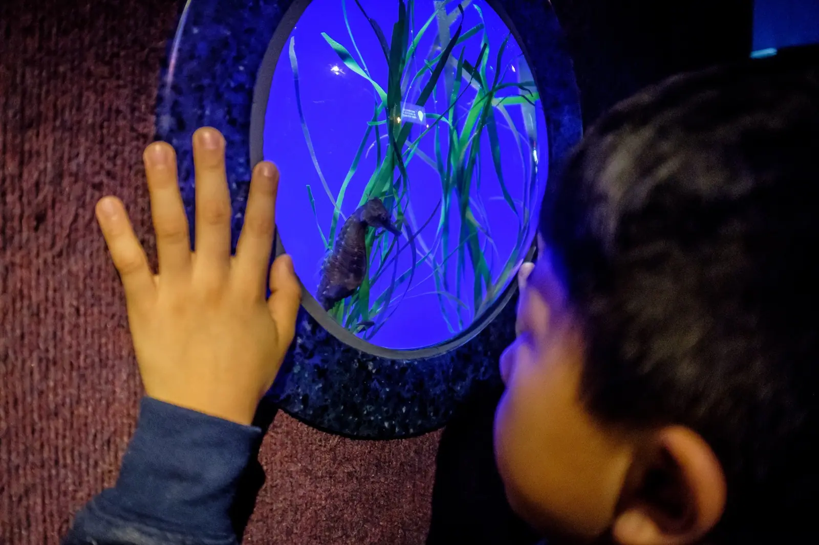 Toronto Aquarium