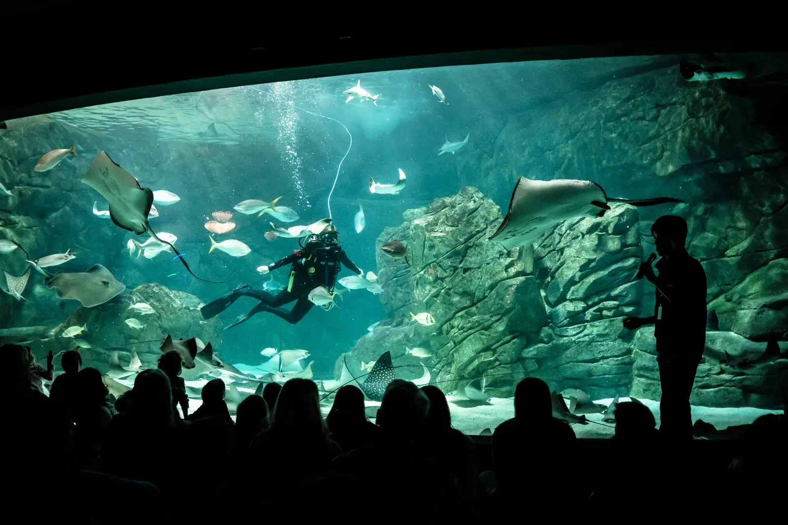 Toronto Aquarium
