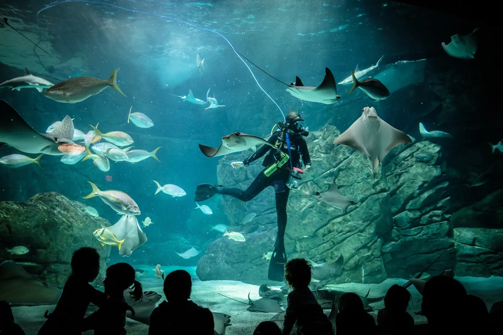 Toronto Aquarium