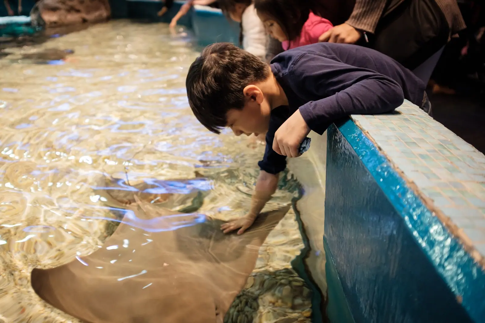 Toronto Aquarium