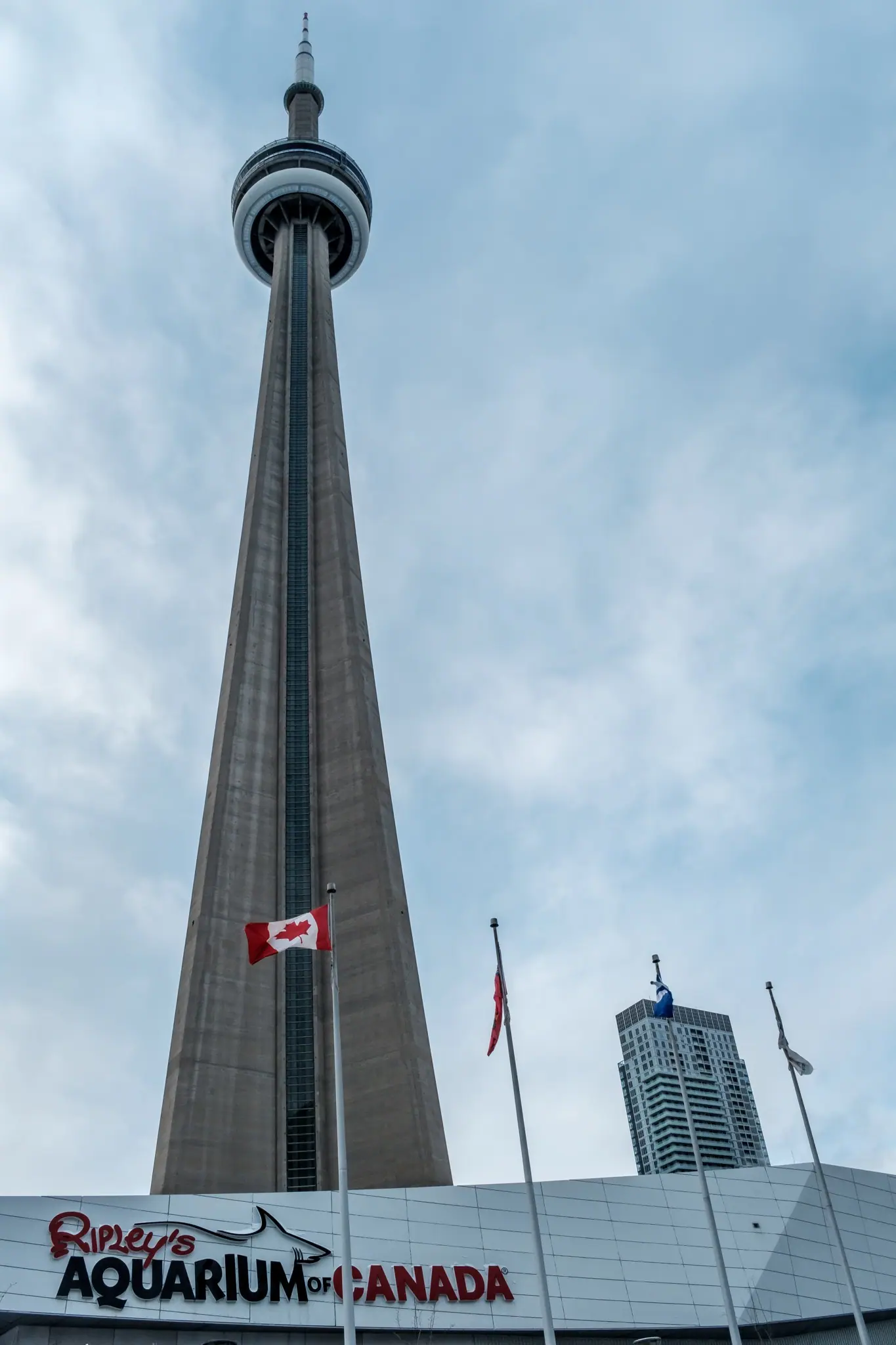 Toronto Aquarium