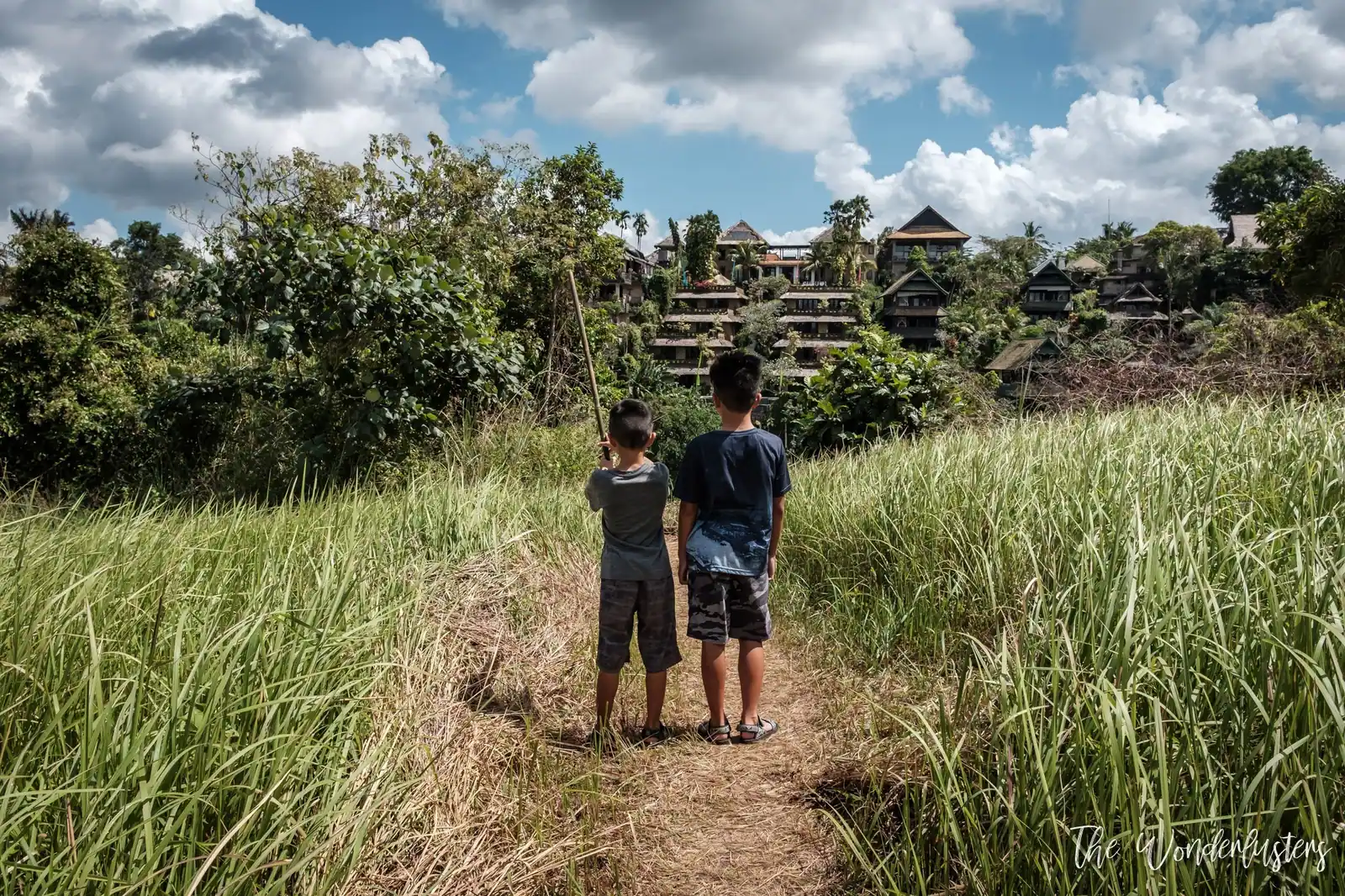 Campuhan Ridge Walk in Ubud