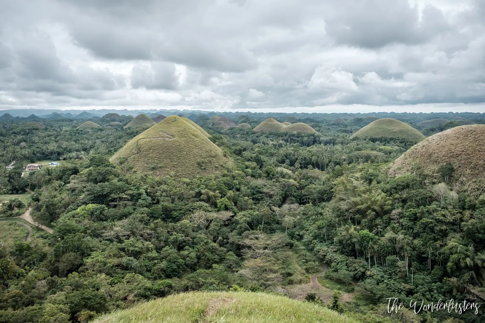 Chocolate Hills