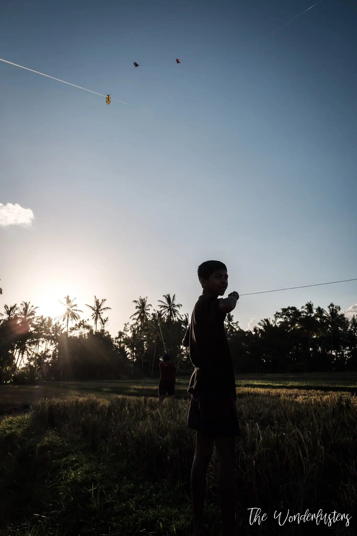 Kite flying over a rice field in Ubud