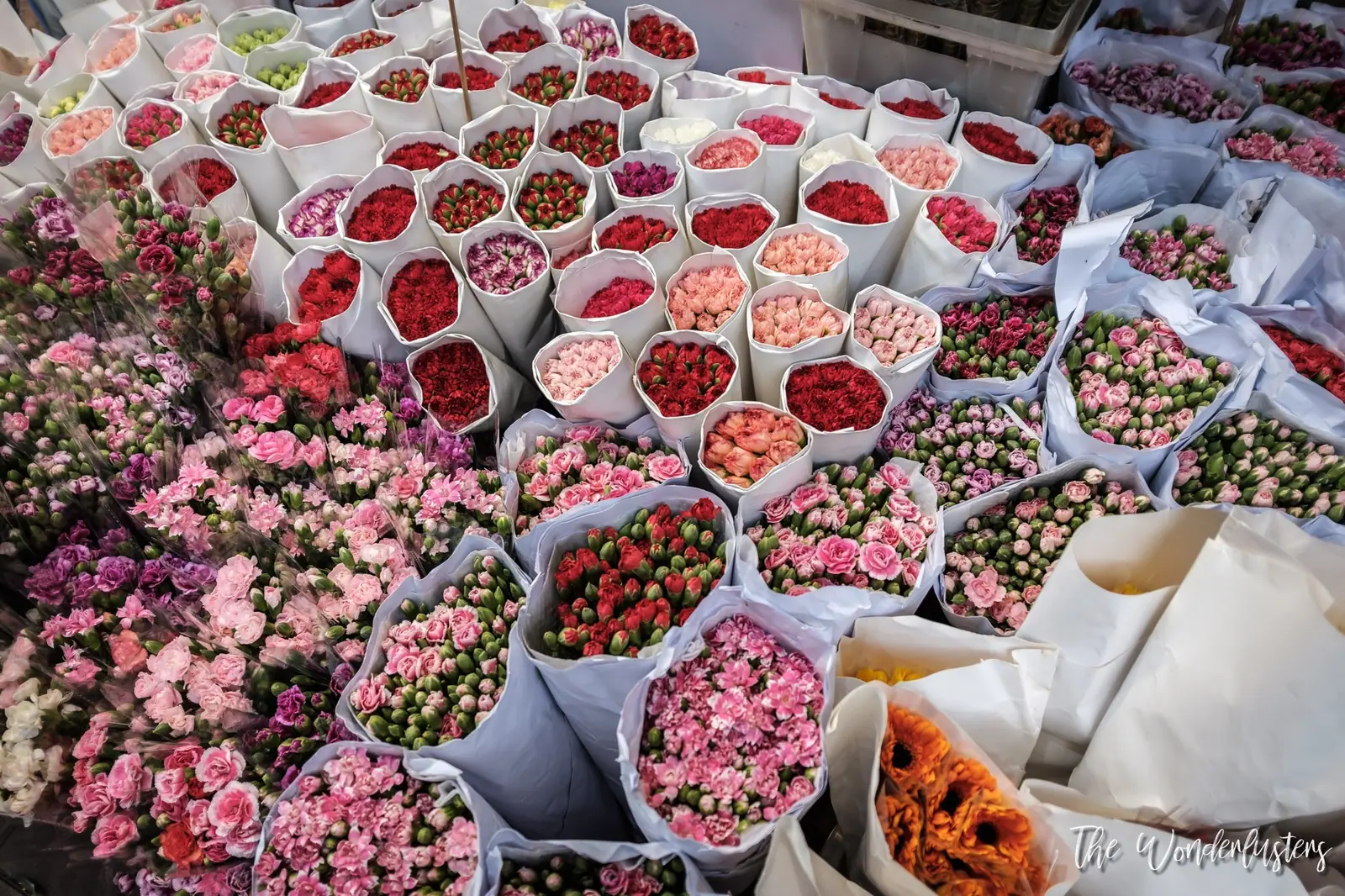 Flower stalls at the Mong Kok Flower Market