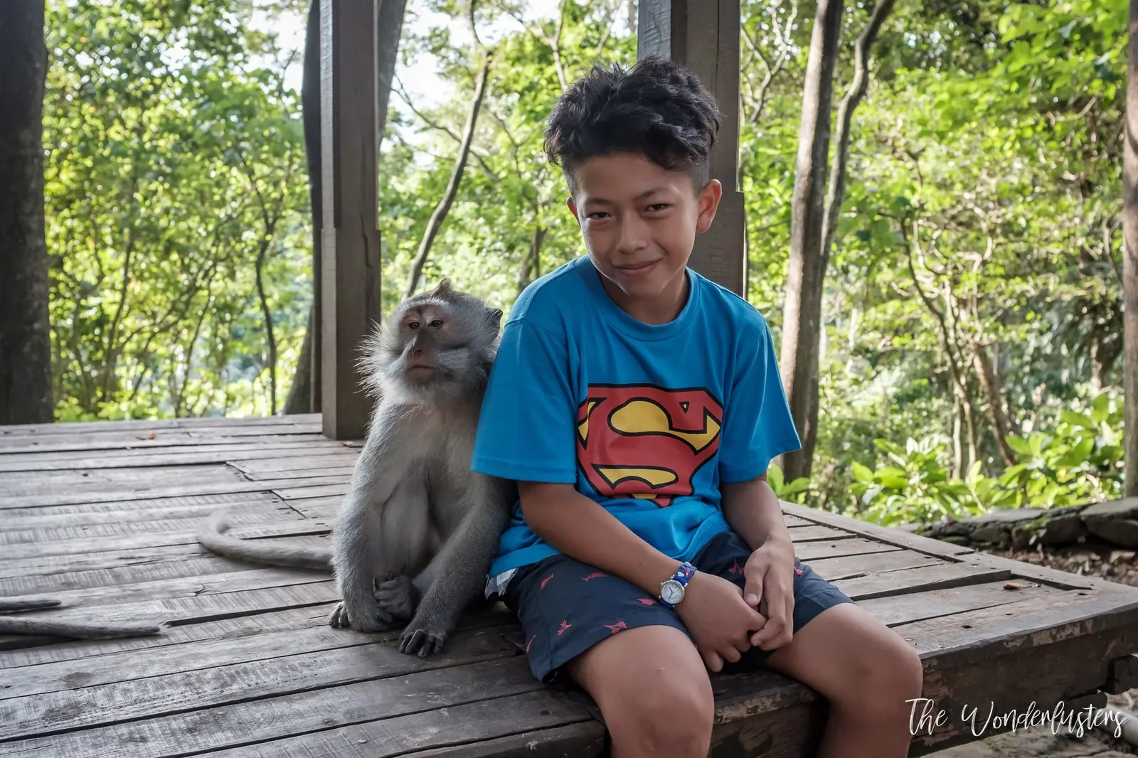 Macaque in the Ubud Monkey Forest