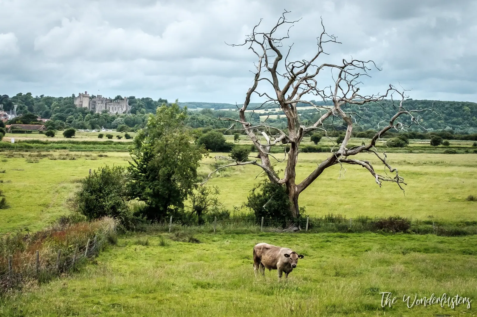 Arundel village