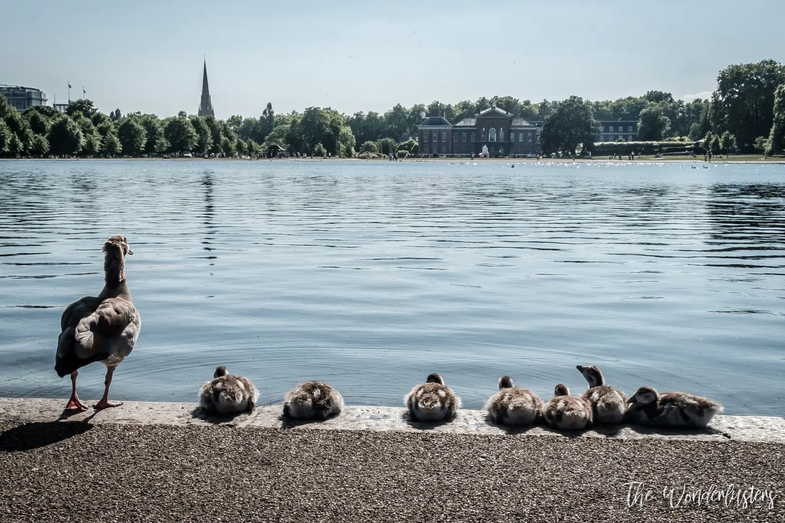 Kensington Palace, London
