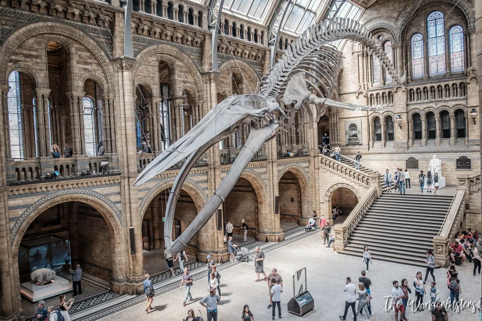 Main hall of the Natural History Museum in London