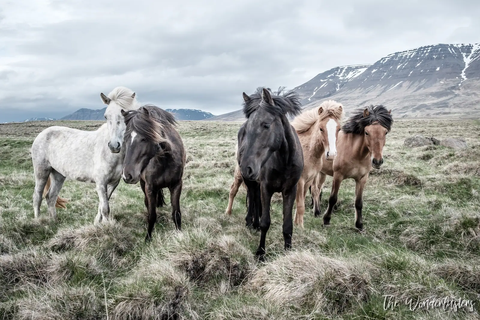 The Westfjords Peninsula