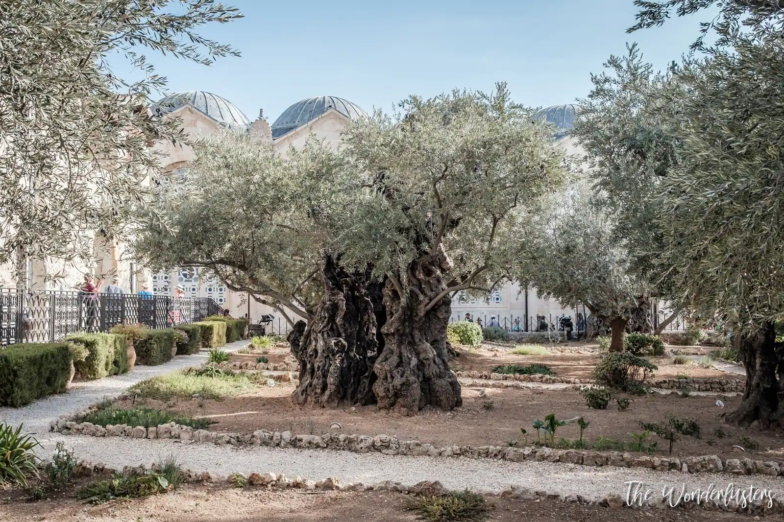 Garden of Gethsemane