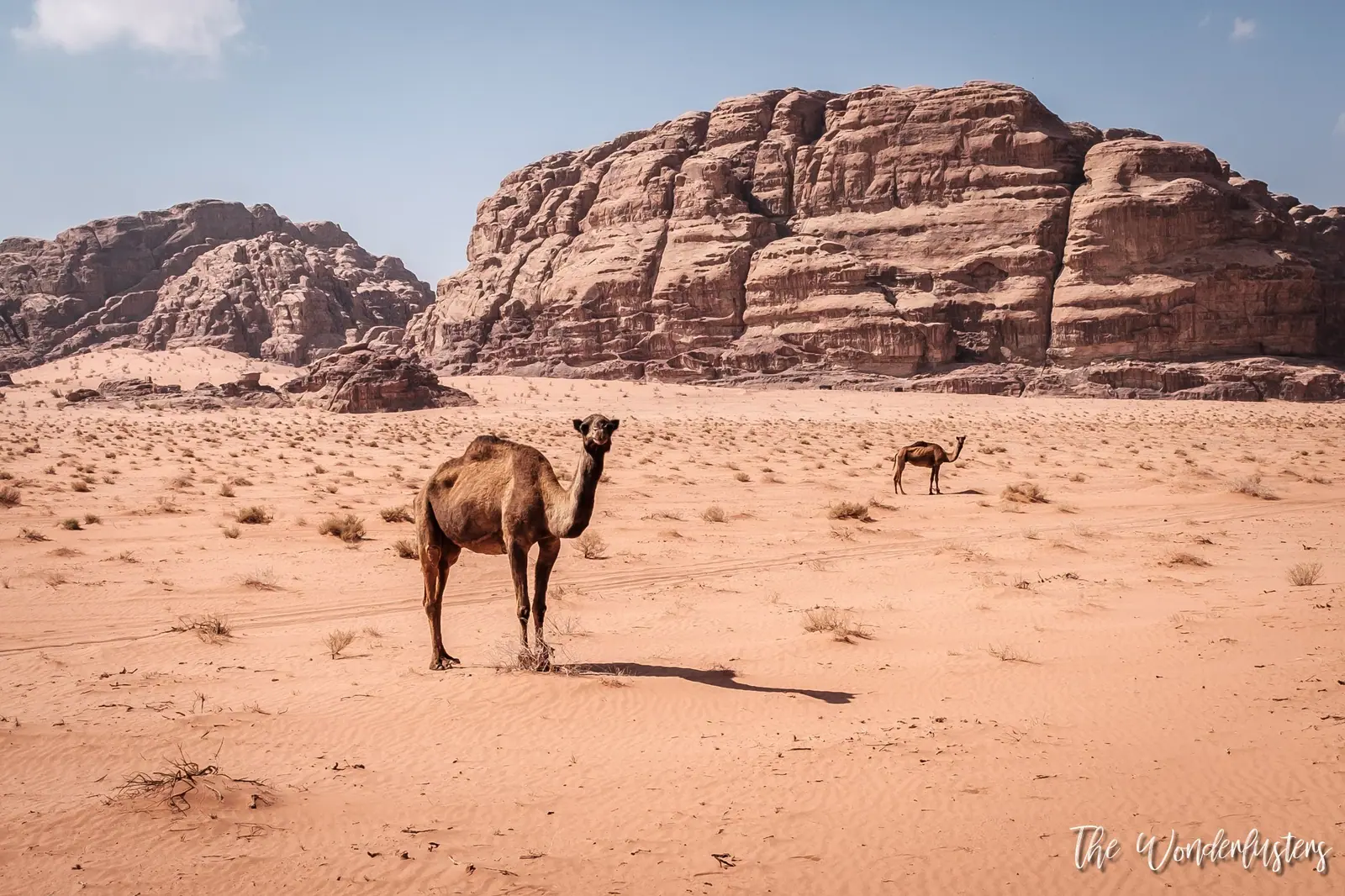 Jeep excursion through the Wadi Rum desert
