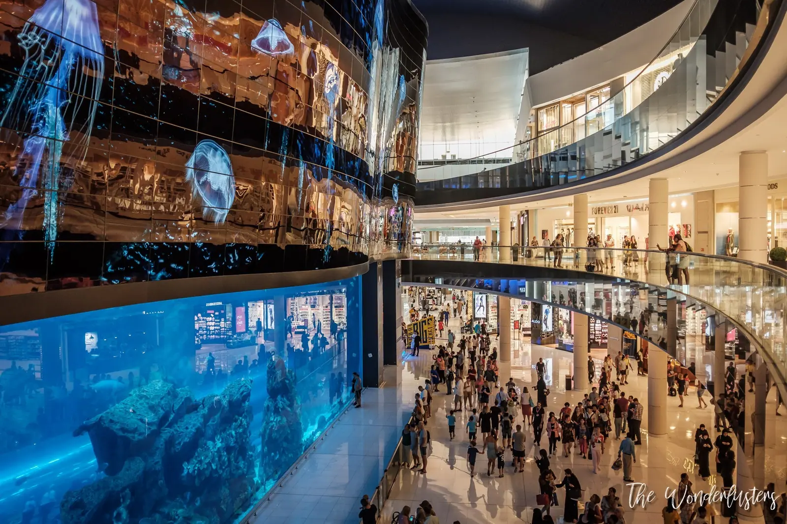 Dubai Aquarium at Dubai Mall