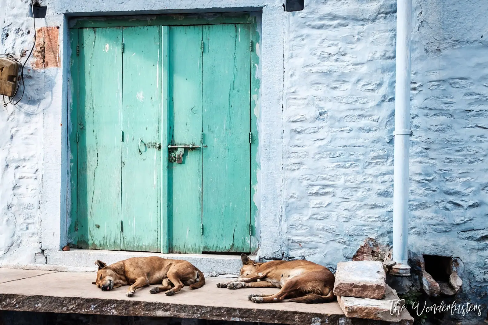 Jodhpur, the Blue City