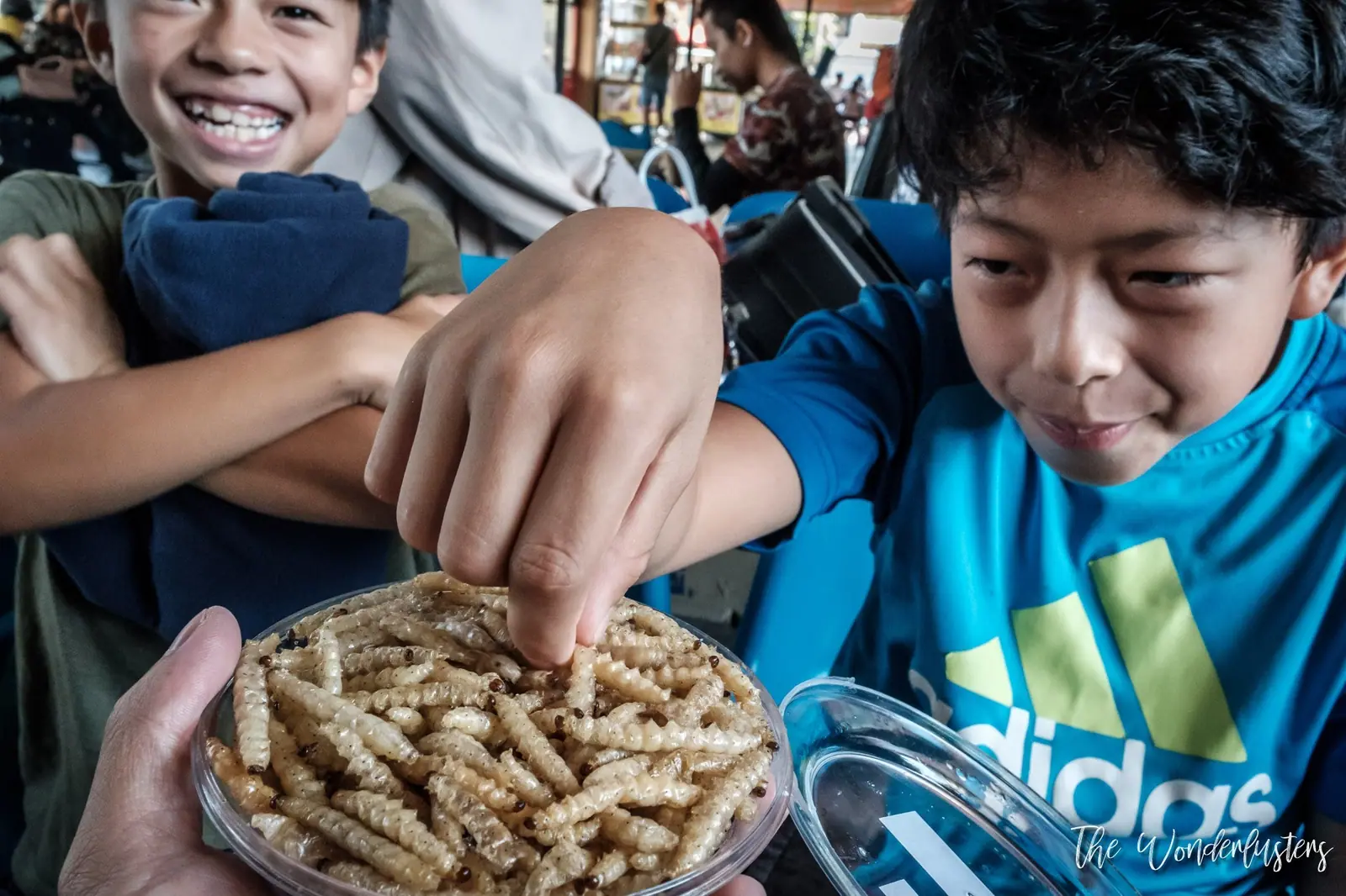 Bamboo worms sold as food in Thailand