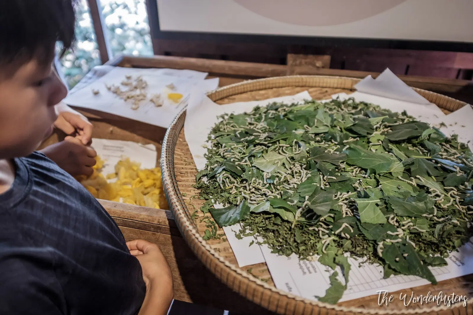Artisans d'Angkor Silk Farm