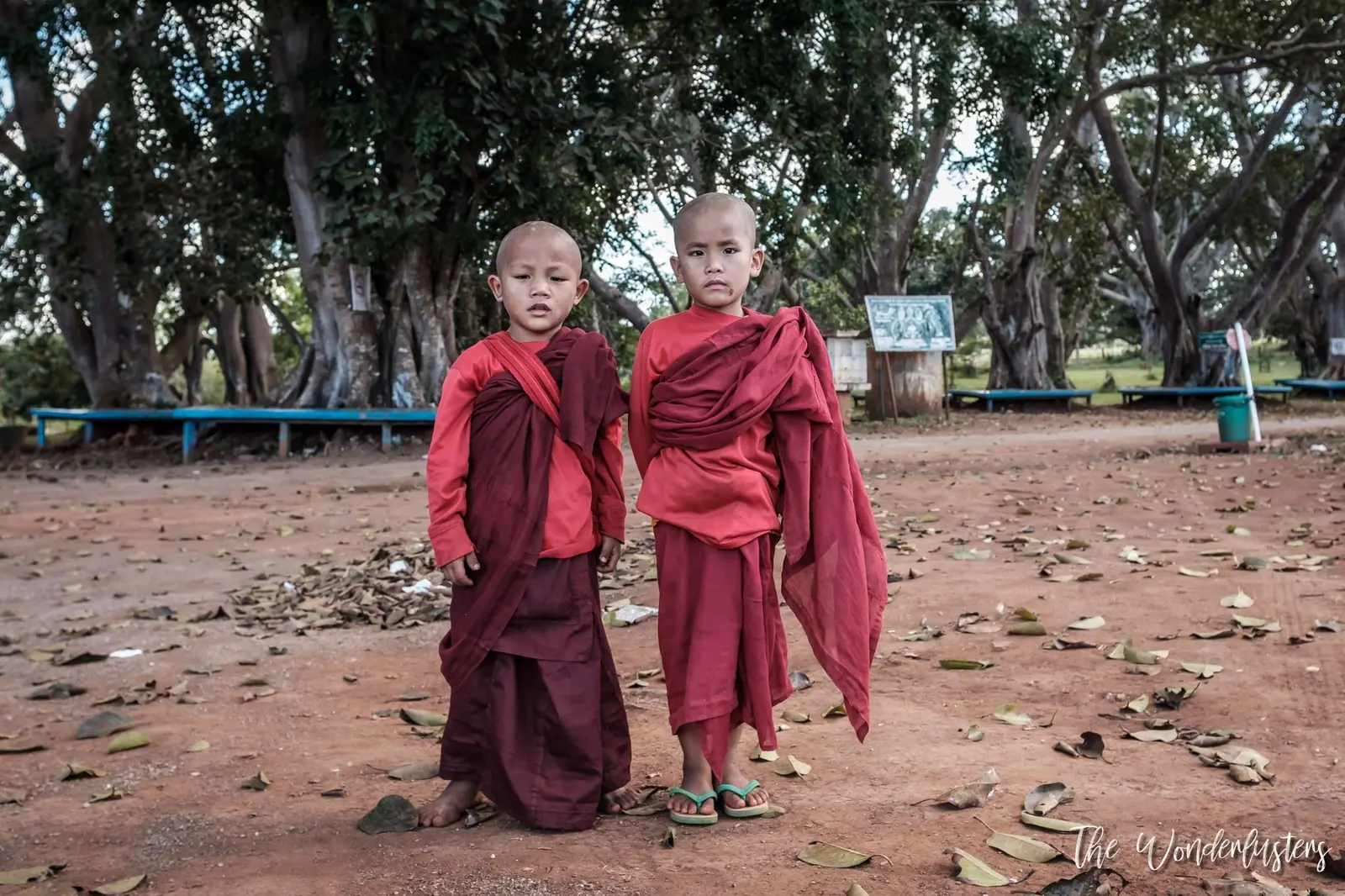 Baby Monks