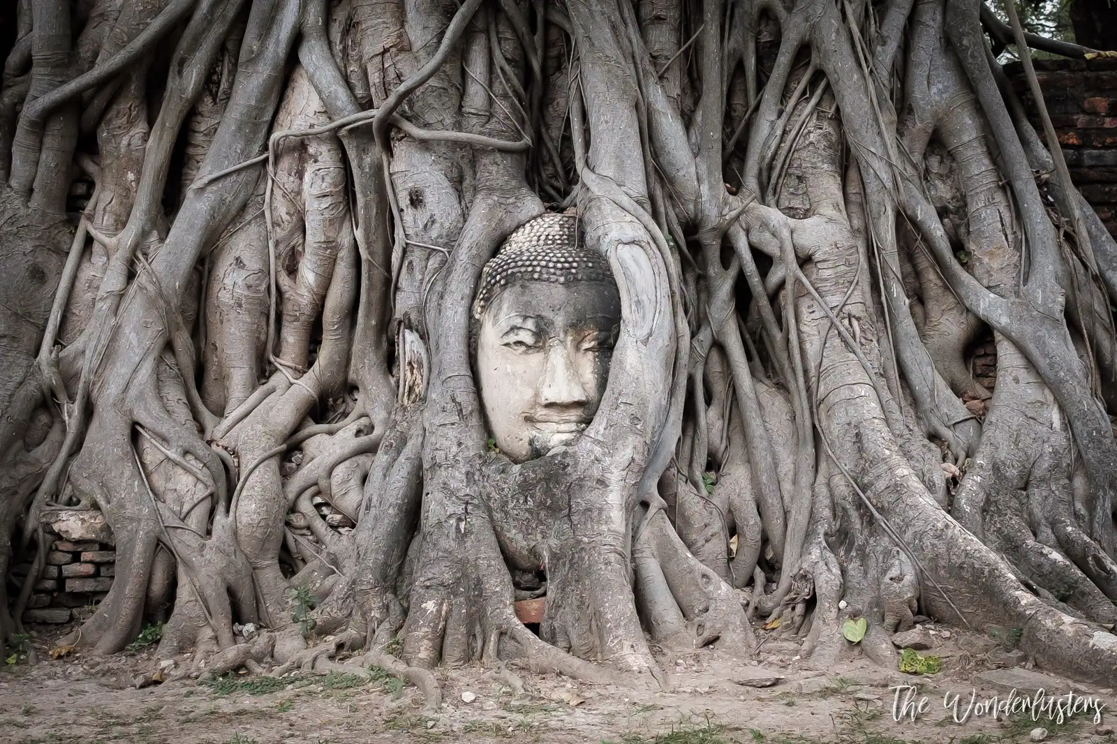 Buddha Heat at Wat Phra Mahatat
