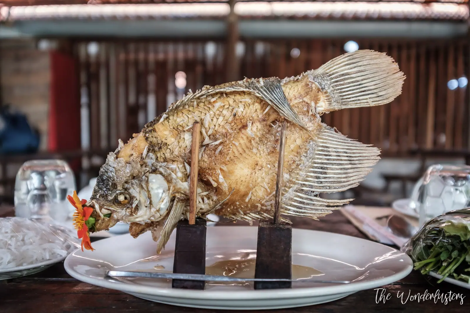 Elephant Ear Fish