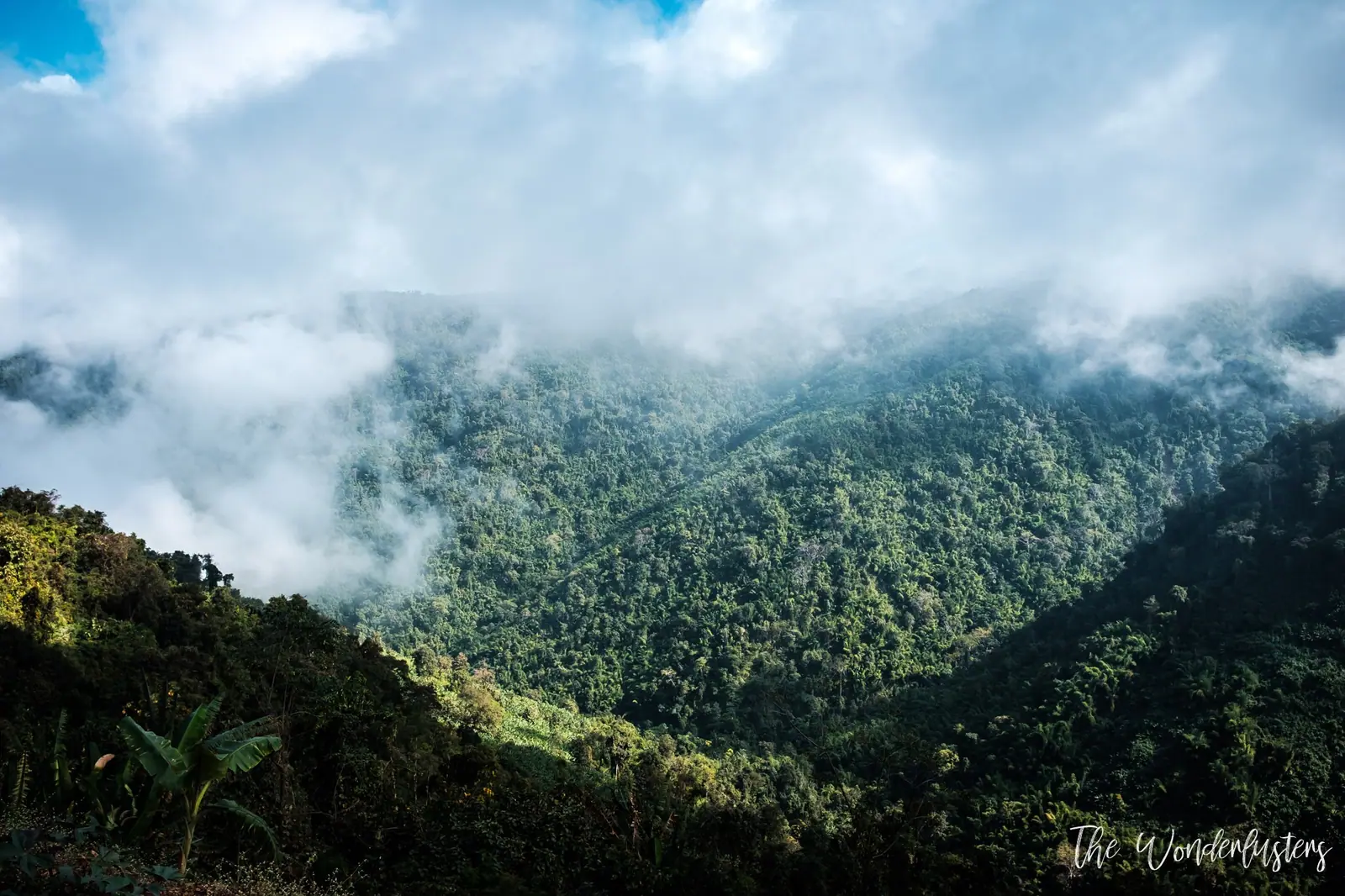 Kalaw
