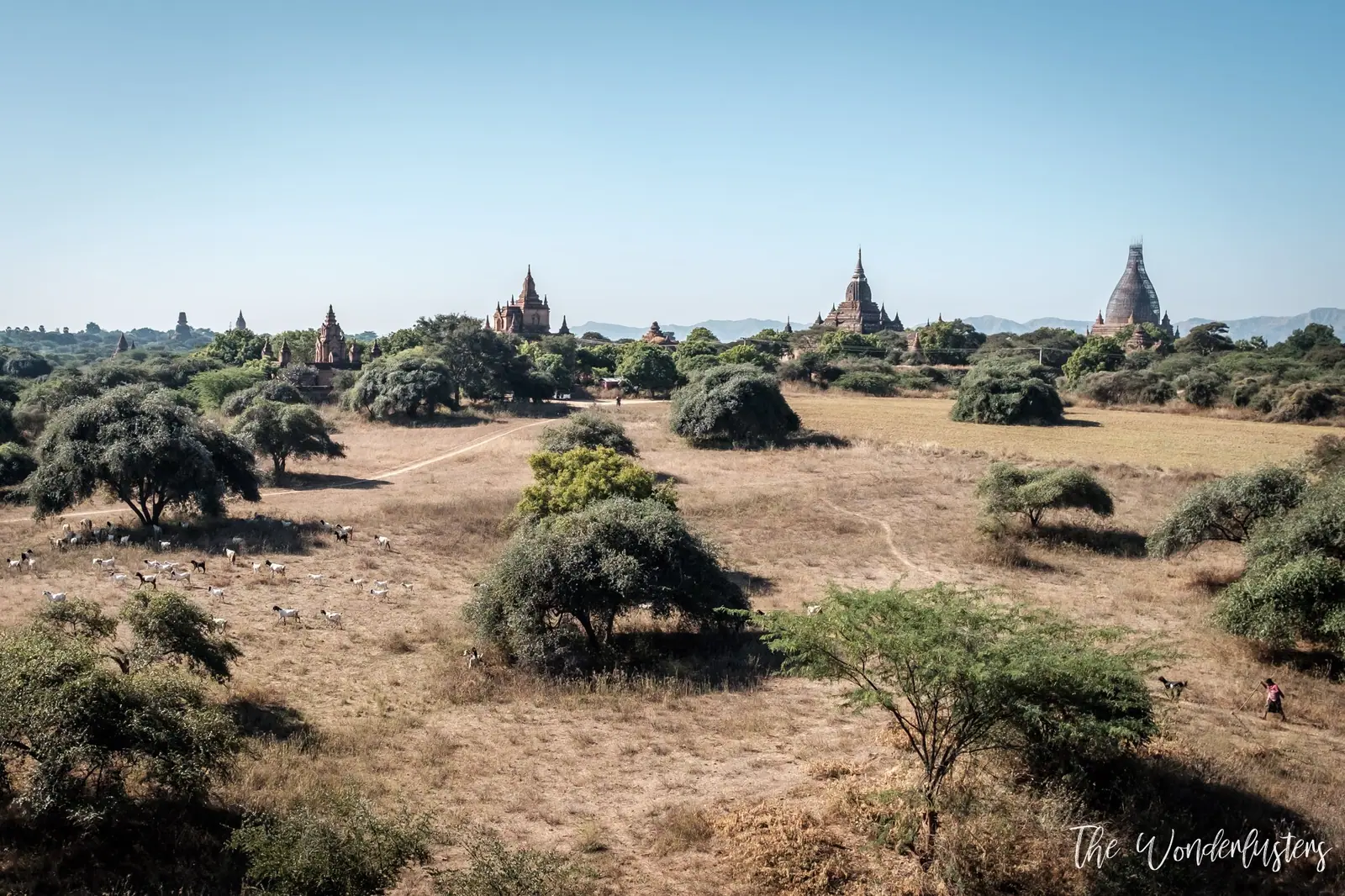 Panoramic View over Bagan