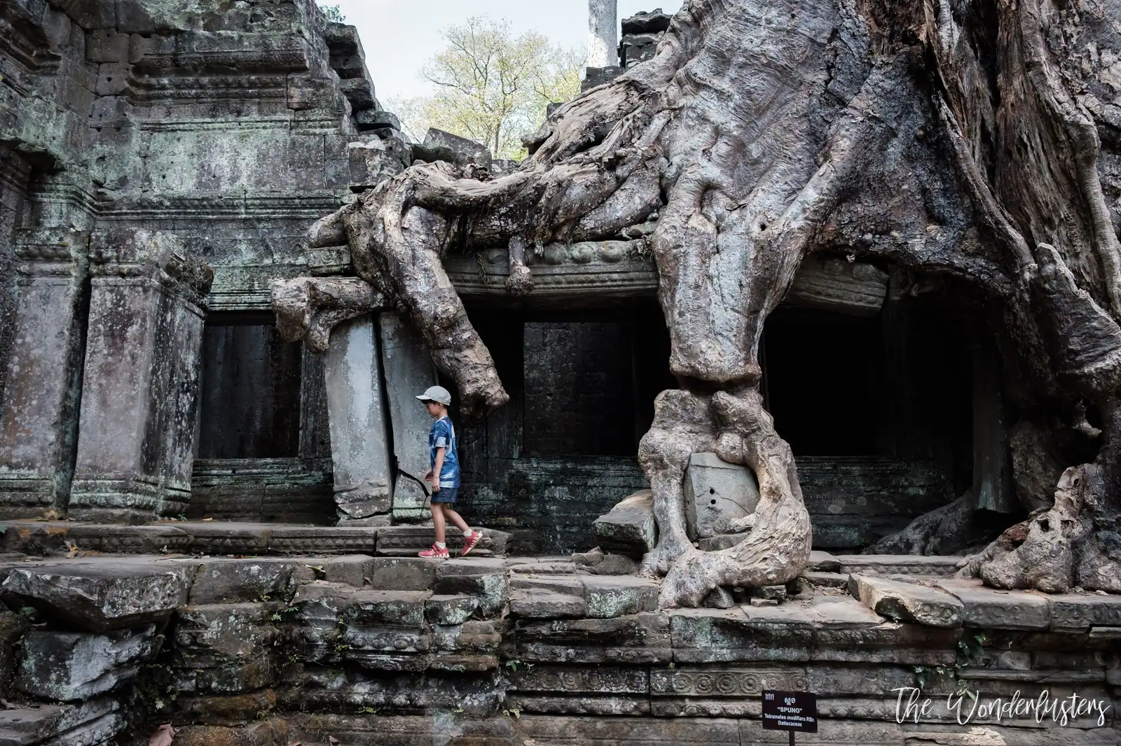 Preah Khan