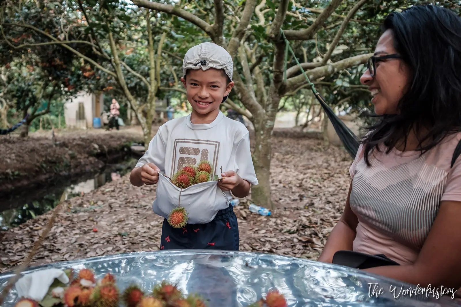 Picking rambutans in Vietnam