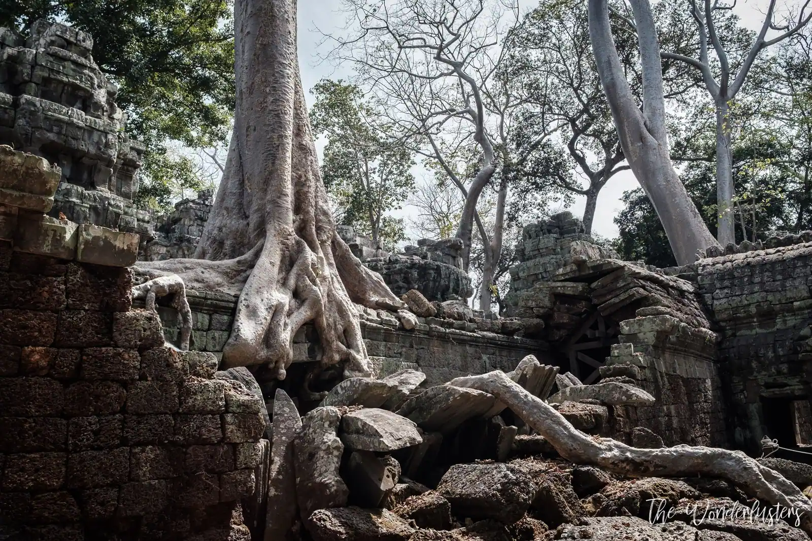Ta Prohm