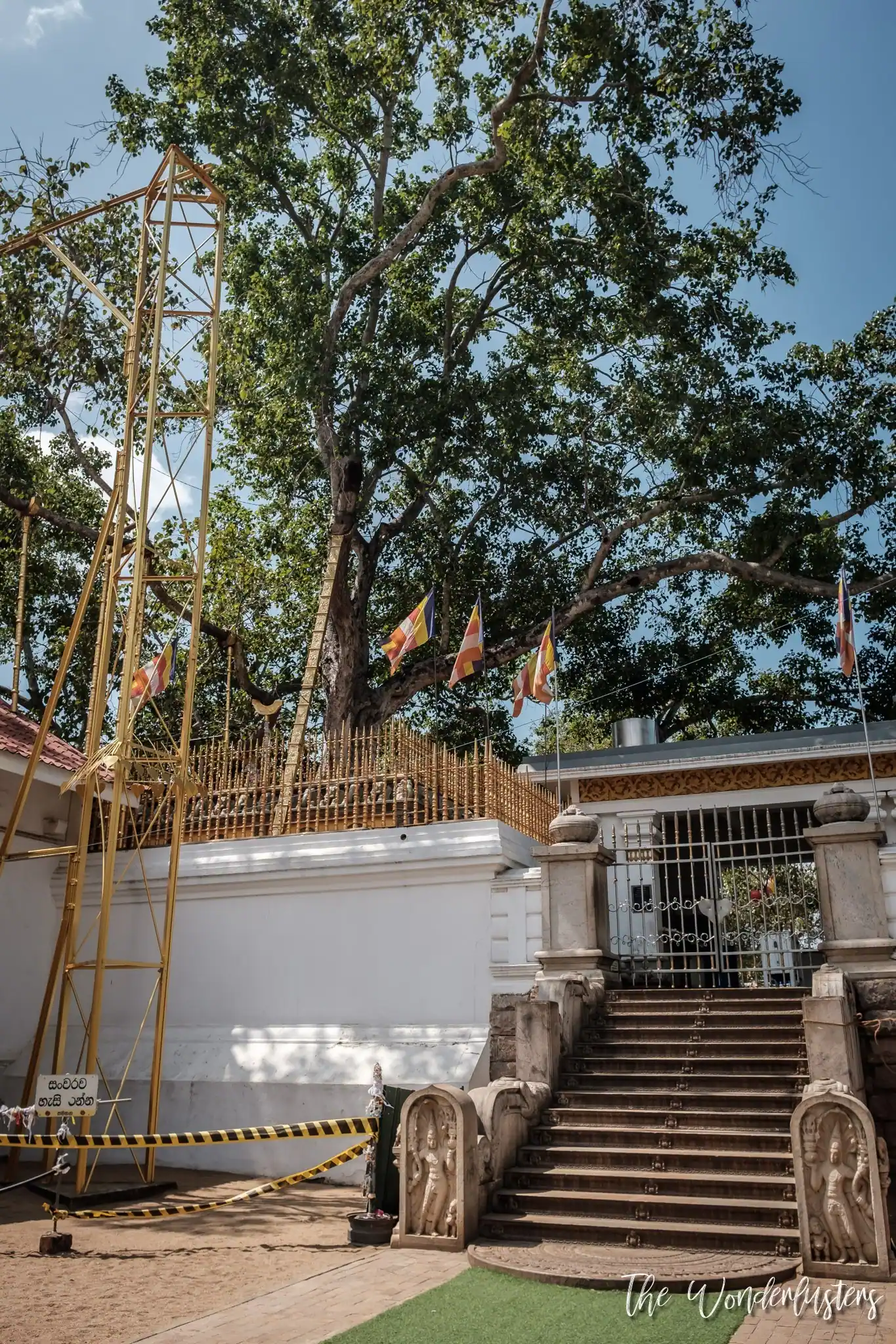 Jaya Sri Maha Bodhi, Anuradhapura