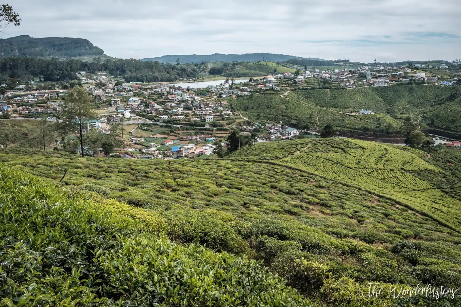 Nuwara Eliya