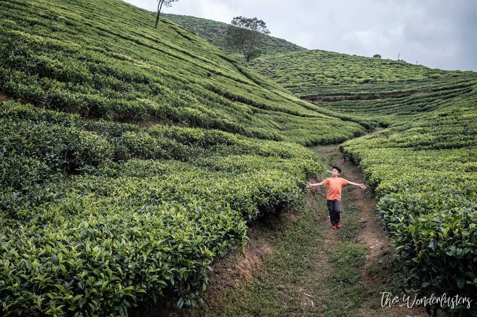On the road to Nuwara Eliya