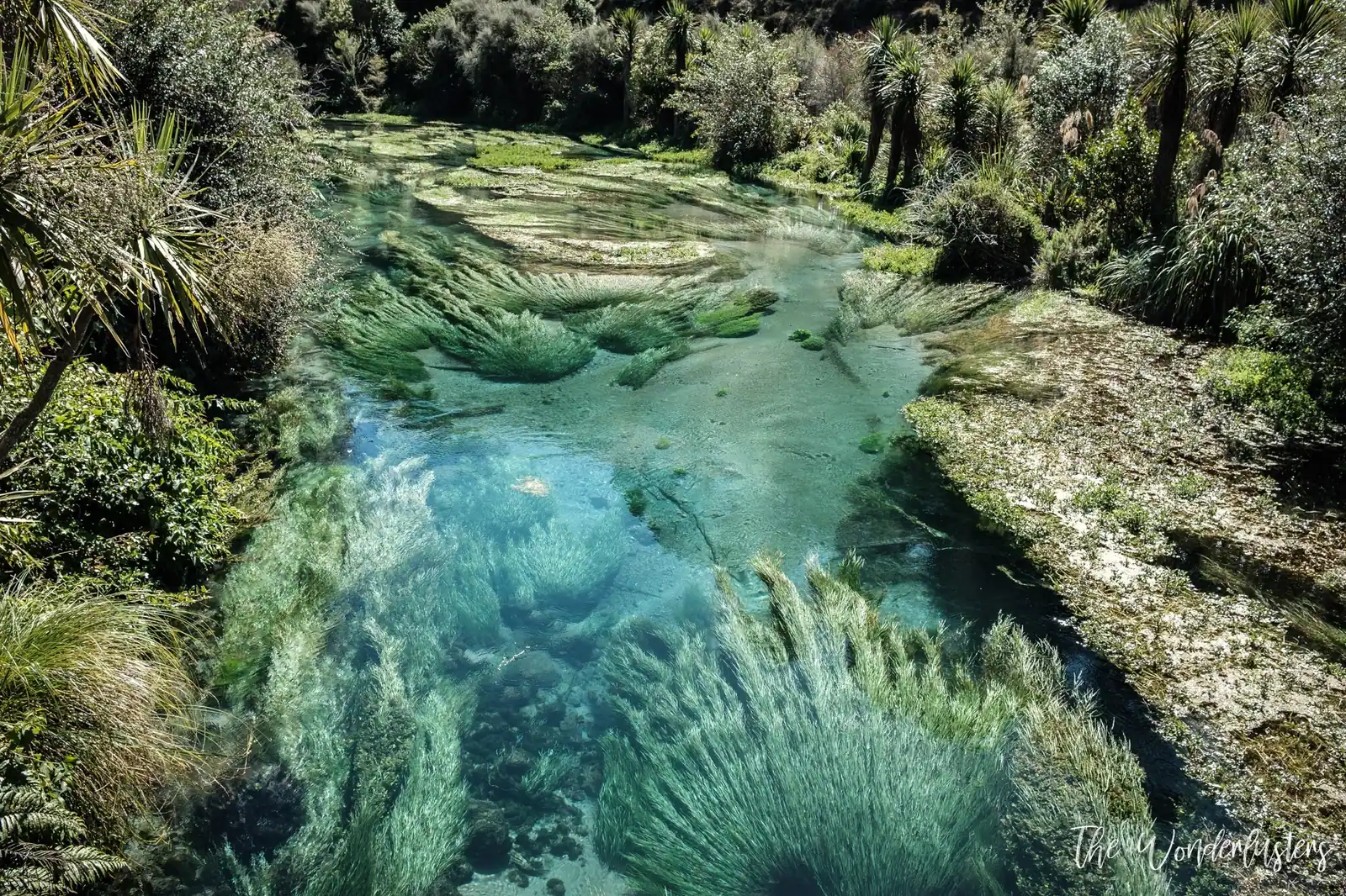 Blue Spring Putaruru