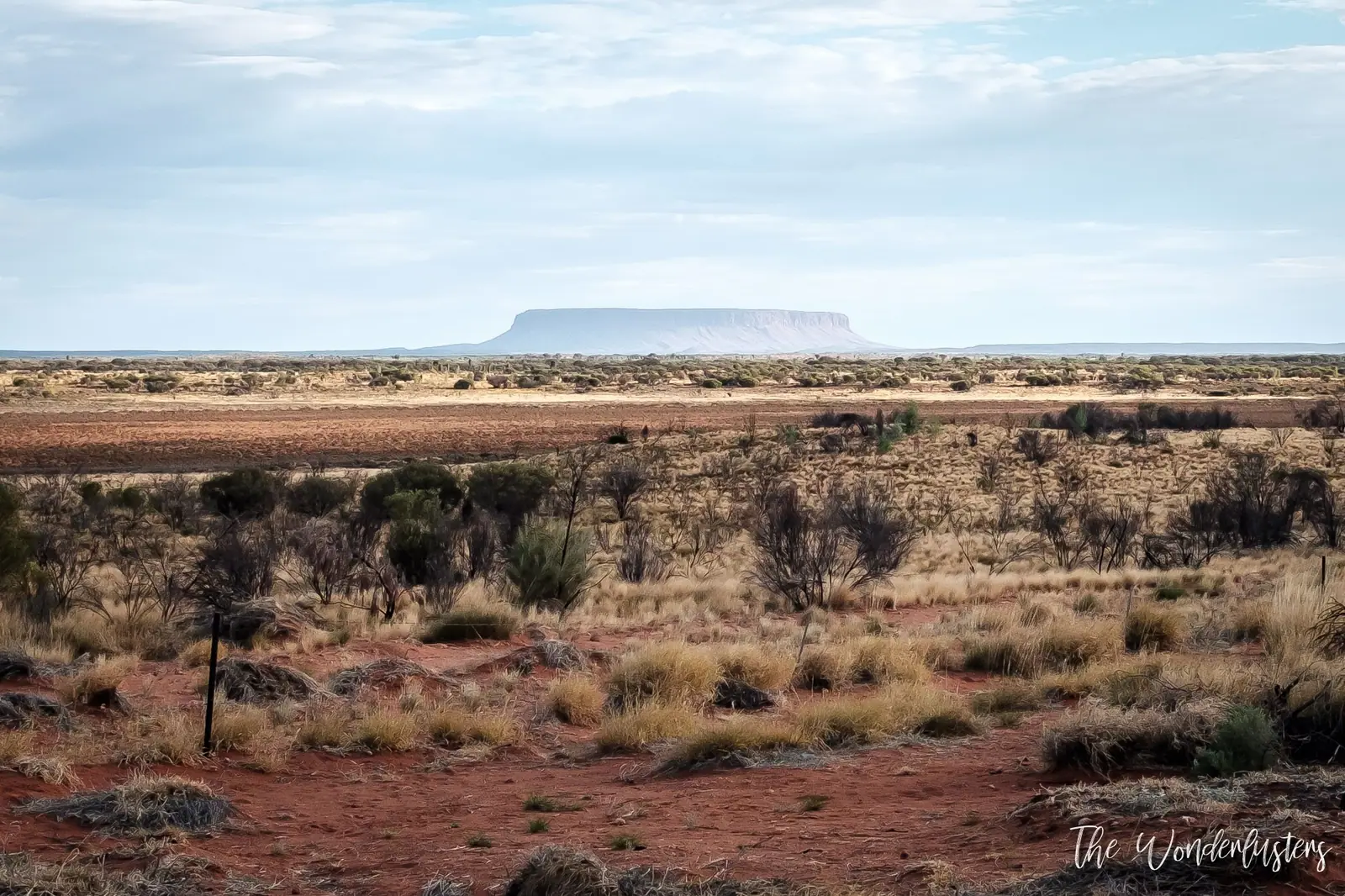 Mount Conner Lookout